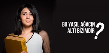 Gülnara Mehdiyeva yazır: Bu yaşıl ağacın altı bizimdir?