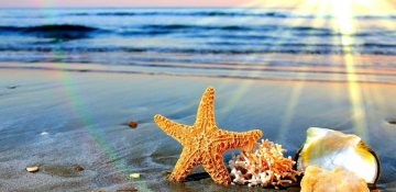 Yazın son günü - yay gəldi