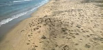 Çimərliklərə getmək olarmı?